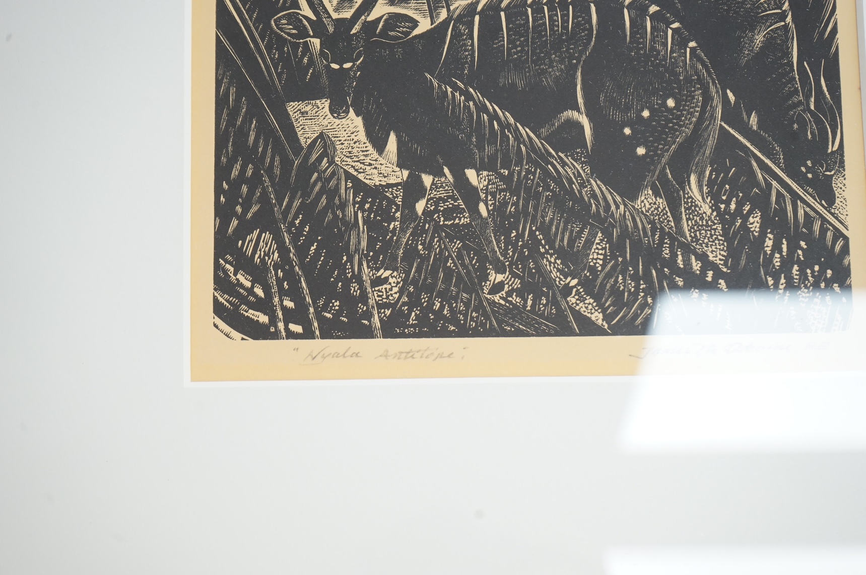 James T. A. Osborne RE (1907-1979), wood engraving, ‘Nyala Antelope’, signed in pencil, 15 x 18cm